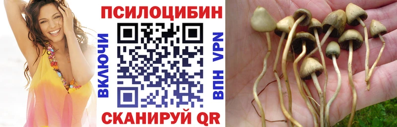 Галлюциногенные грибы прущие грибы  Купить где  Апатиты 